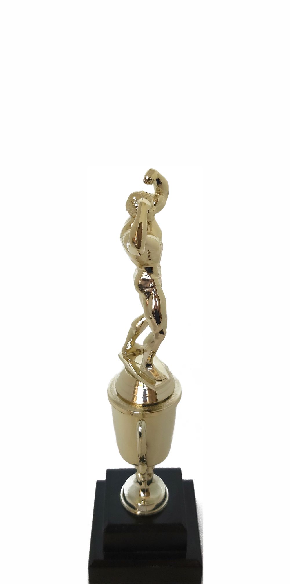 BODY BUILDER MALE 220MM