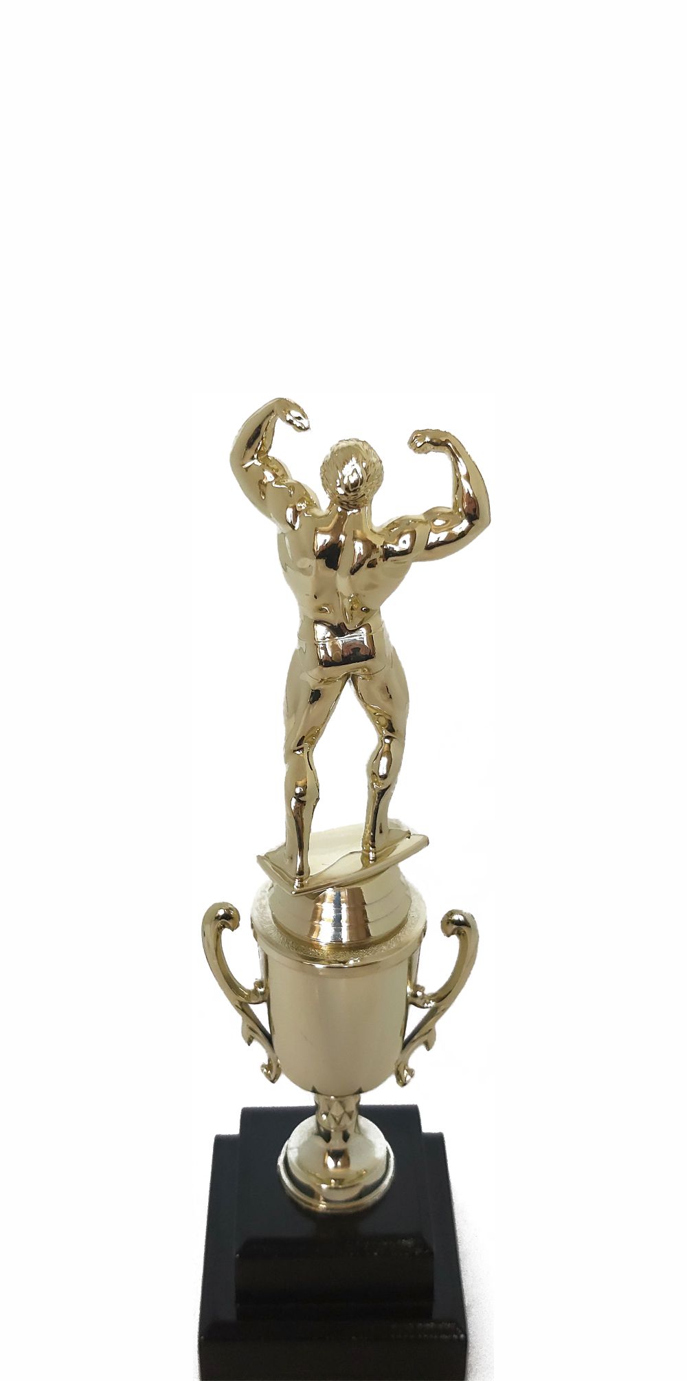 BODY BUILDER MALE 220MM