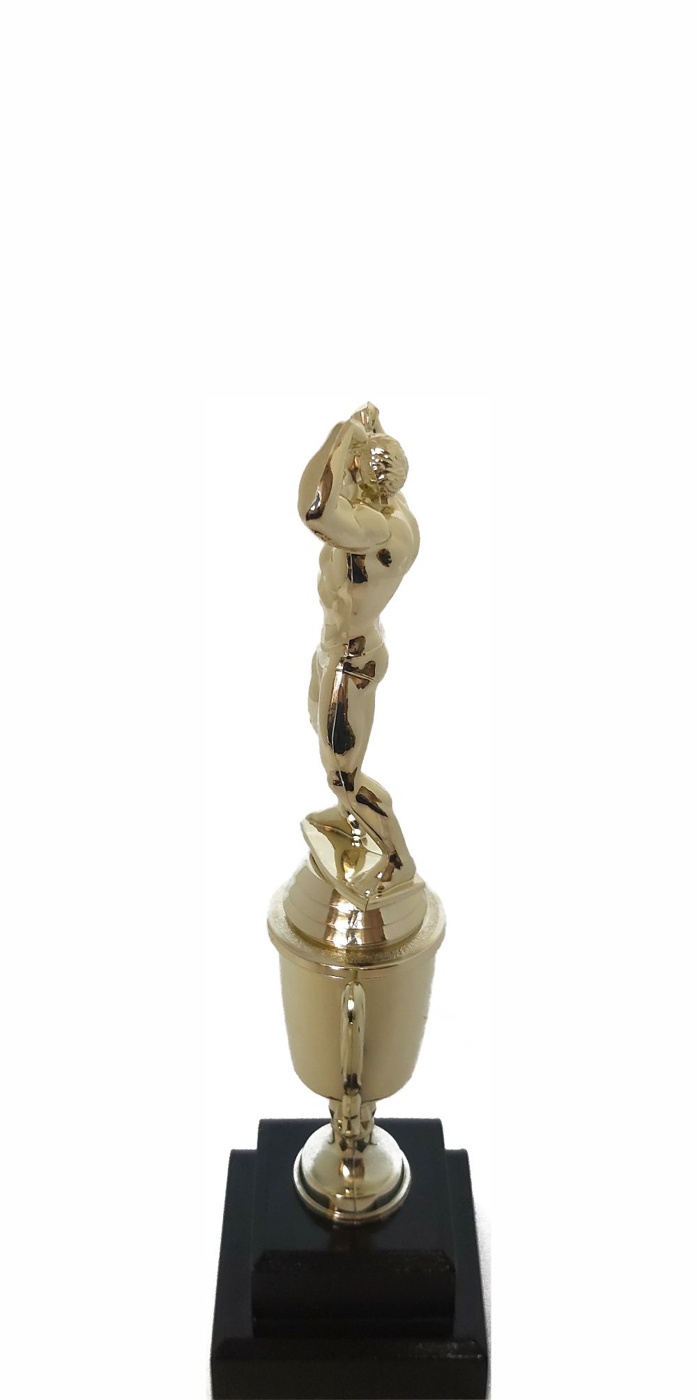 BODY BUILDER MALE 220MM