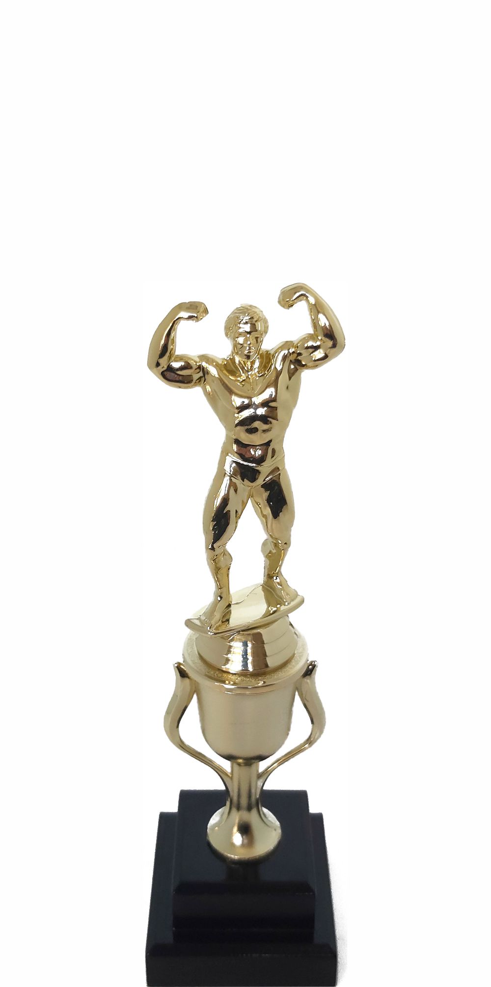 BODY BUILDER MALE 220MM