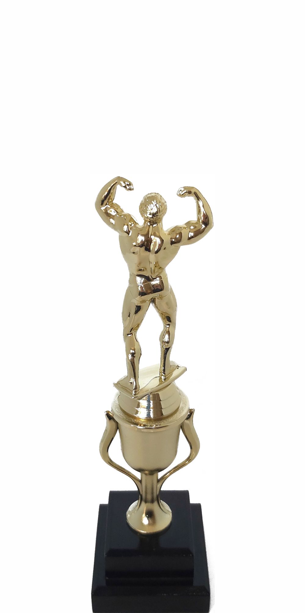 BODY BUILDER MALE 220MM