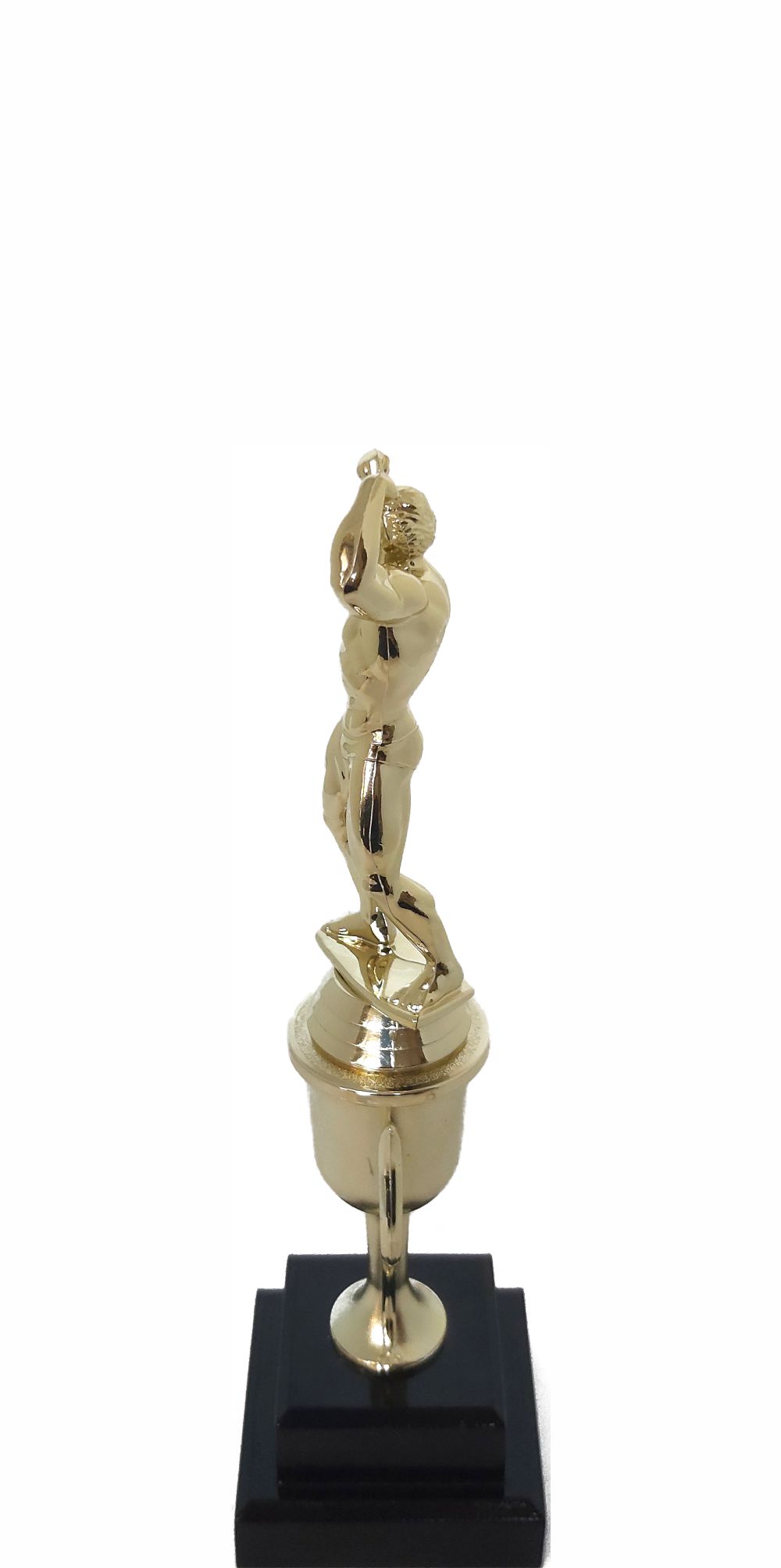 BODY BUILDER MALE 220MM