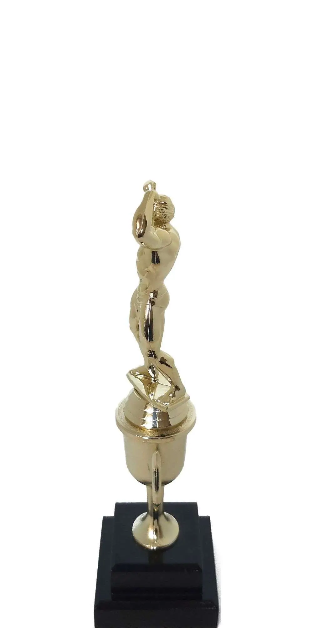 BODY BUILDER MALE 220MM