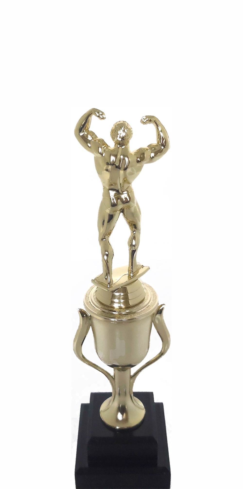 BODY BUILDER MALE 245MM