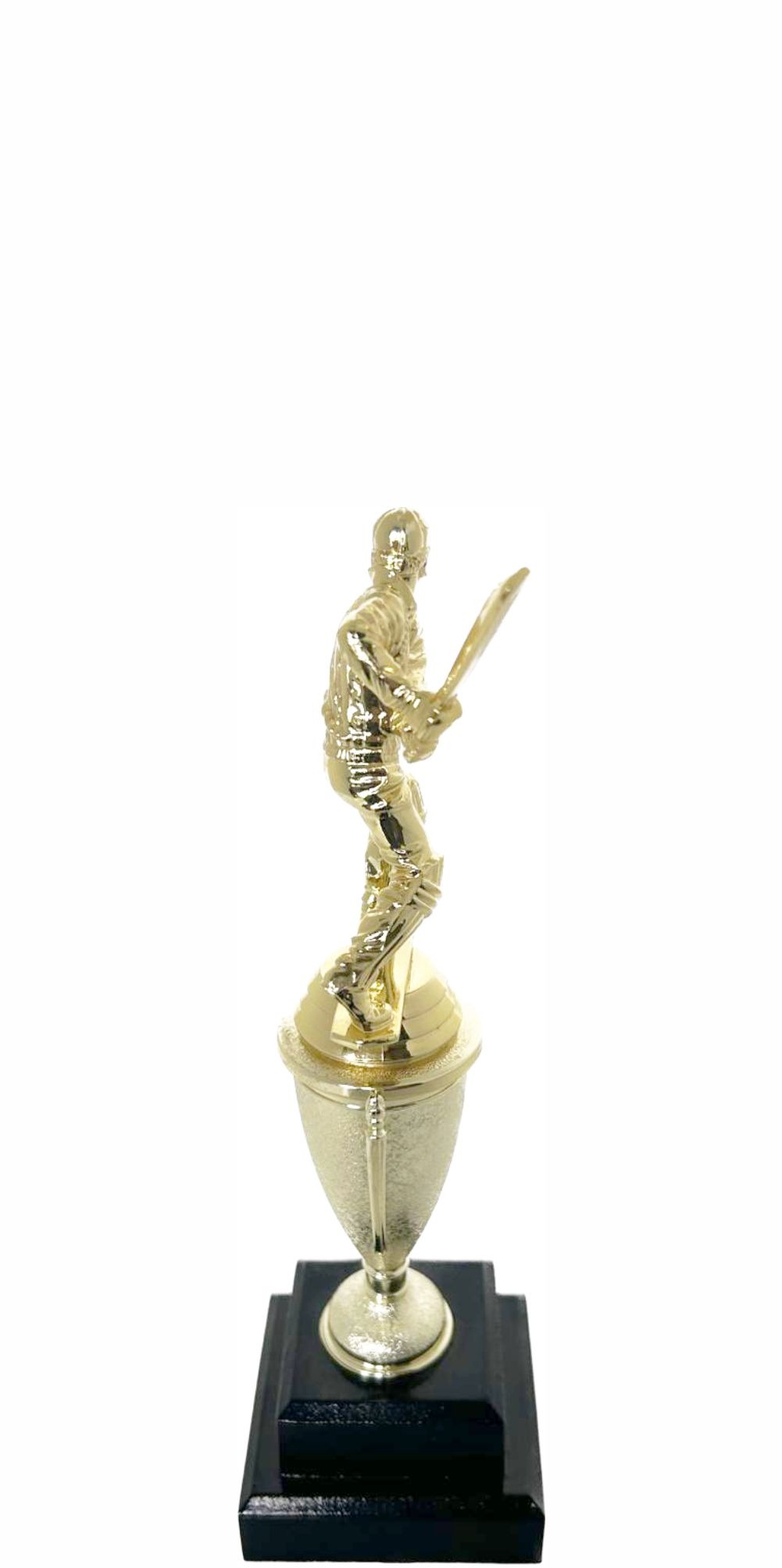 Cricket Batsman Trophy 250mm