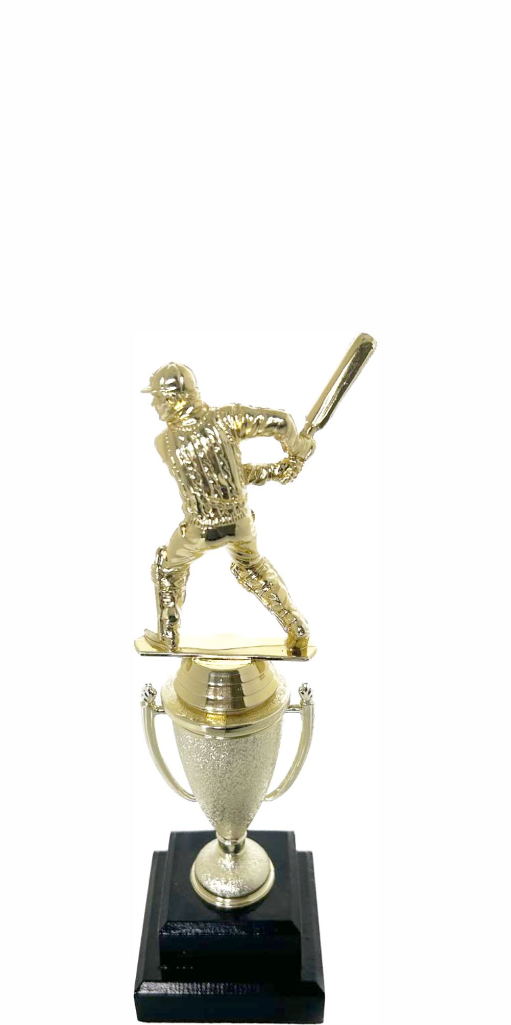 Cricket Batsman Trophy 250mm