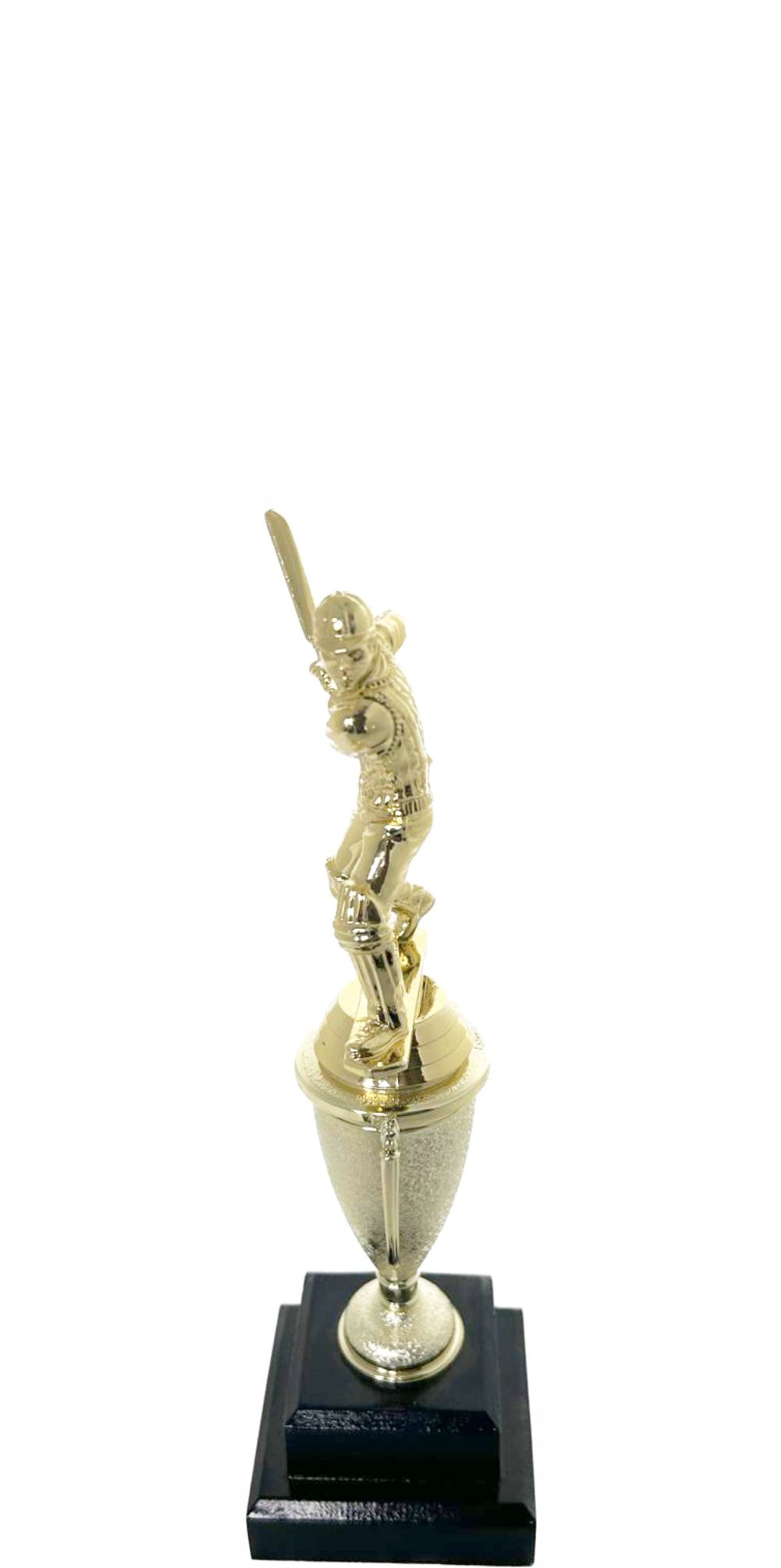 Cricket Batsman Trophy 250mm