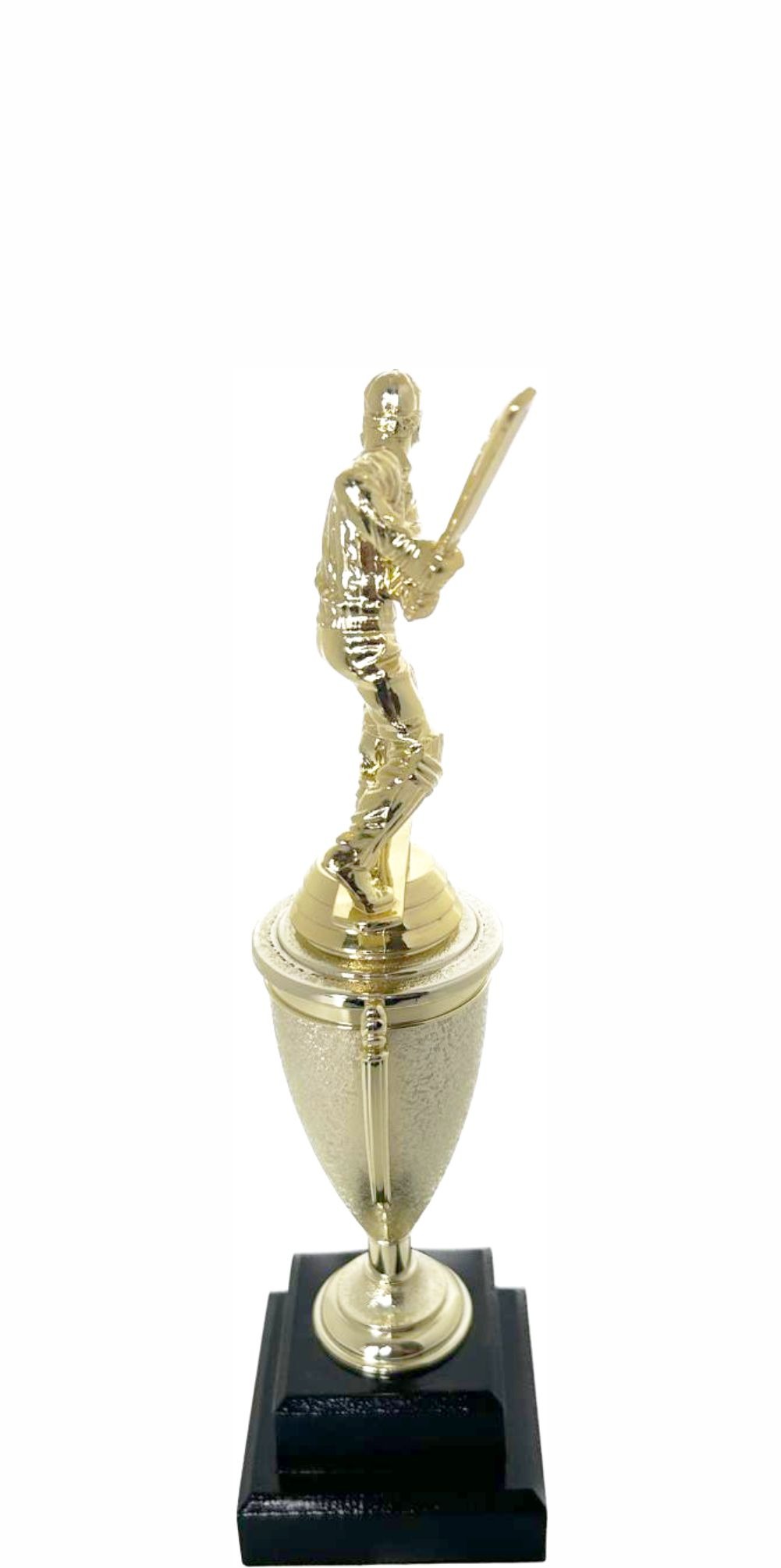 Cricket Batsman Trophy 270mm