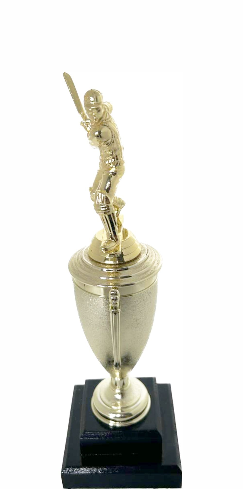 Cricket Batsman Trophy 300mm