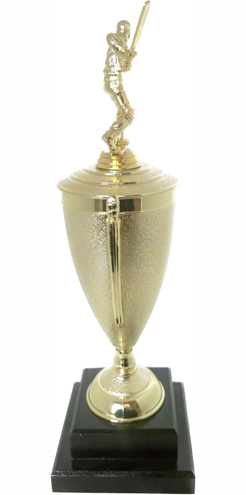 Cricket Batsman Trophy 380mm