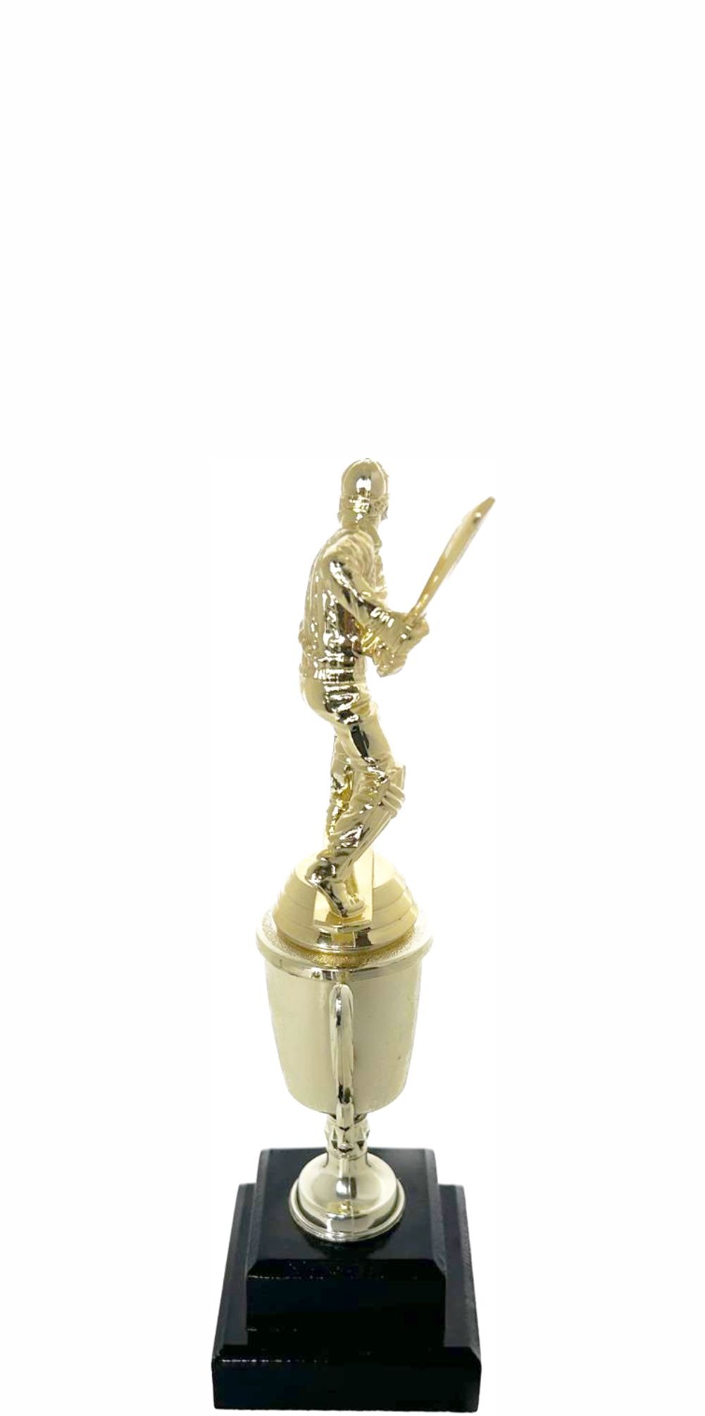 Cricket Batsman Trophy 250mm