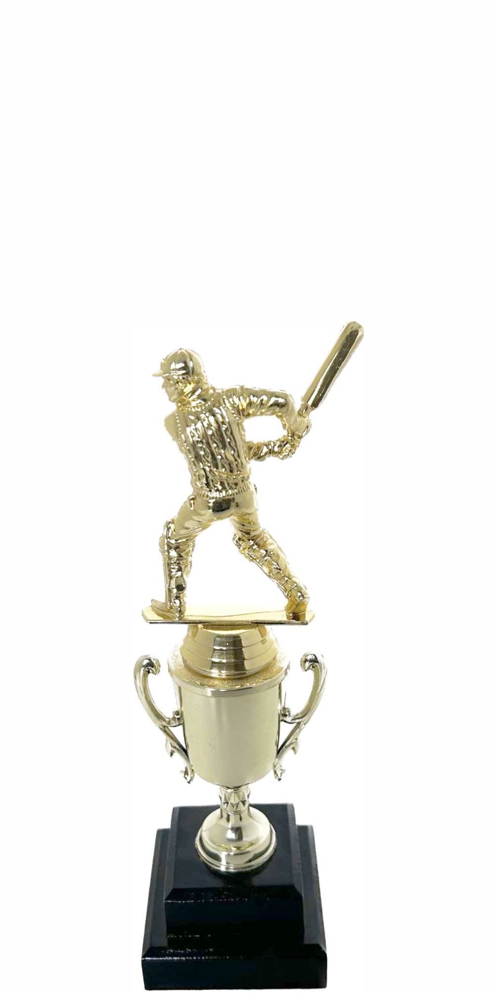 Cricket Batsman Trophy 250mm