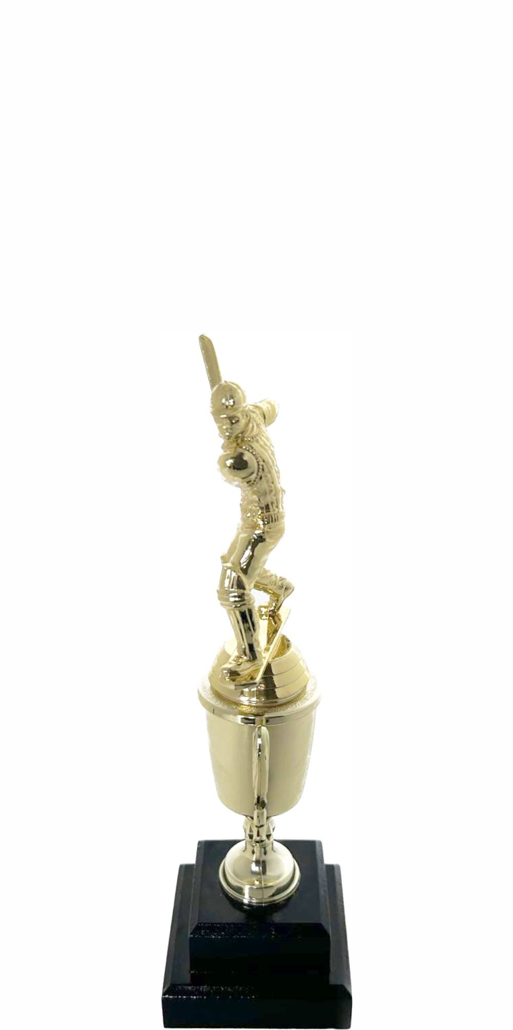 Cricket Batsman Trophy 250mm