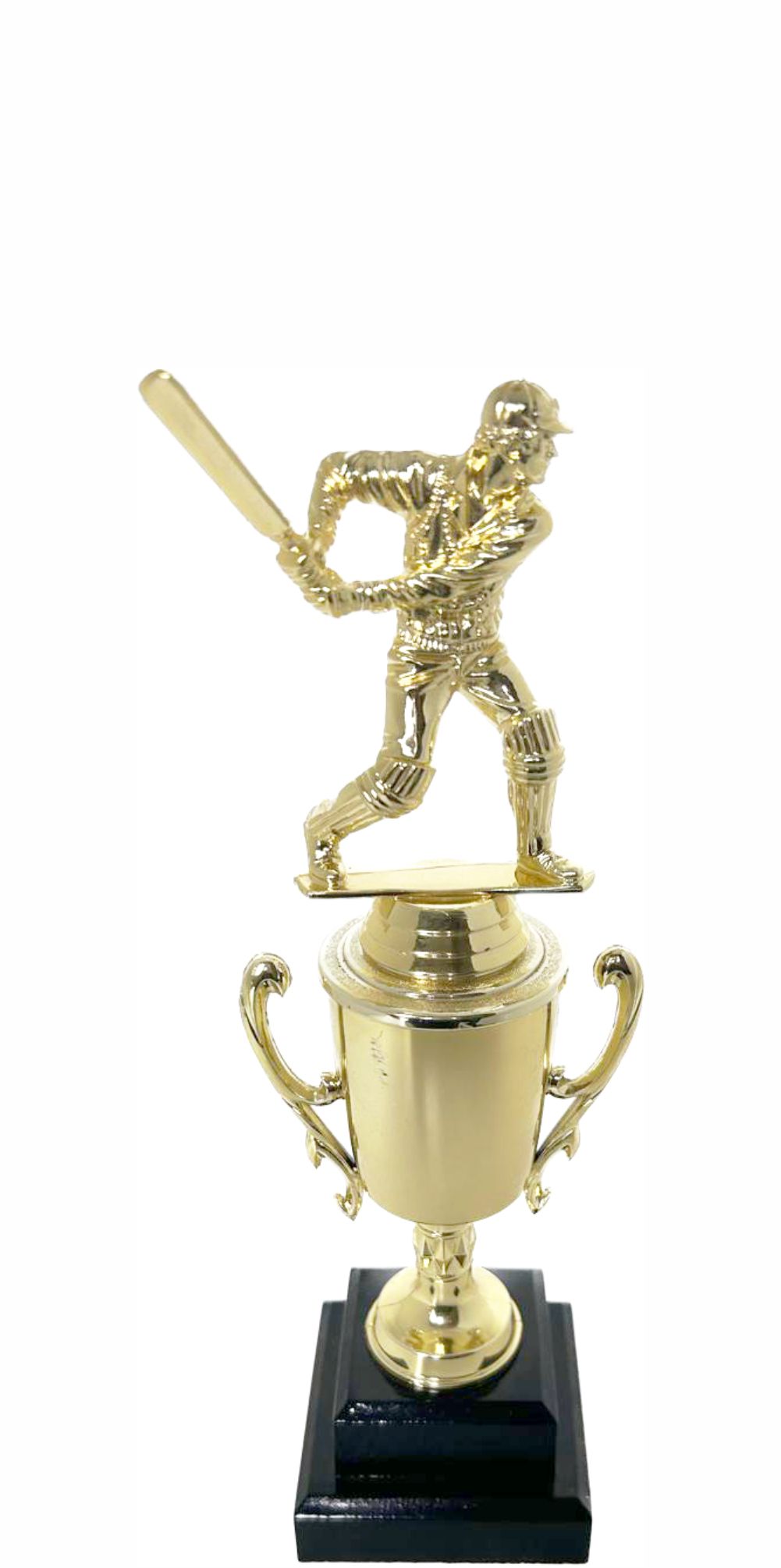 Cricket Batsman Trophy 270mm