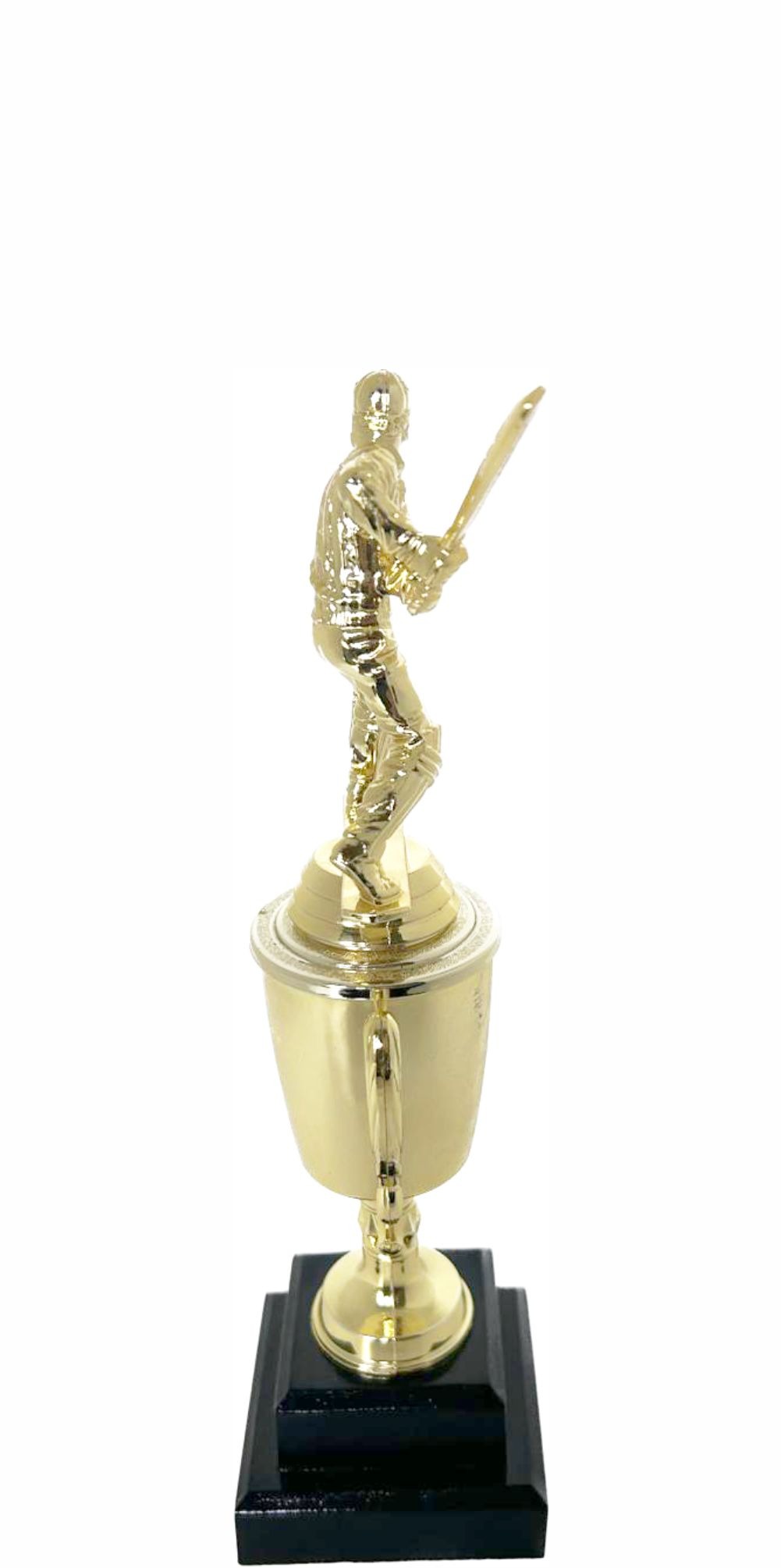 Cricket Batsman Trophy 270mm