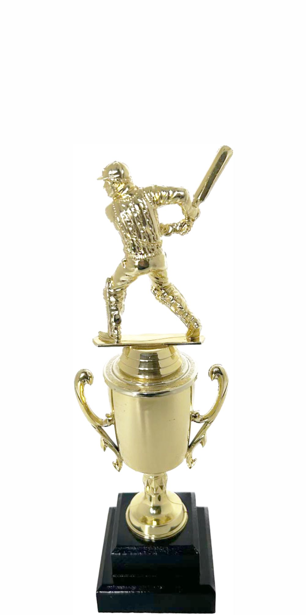 Cricket Batsman Trophy 270mm