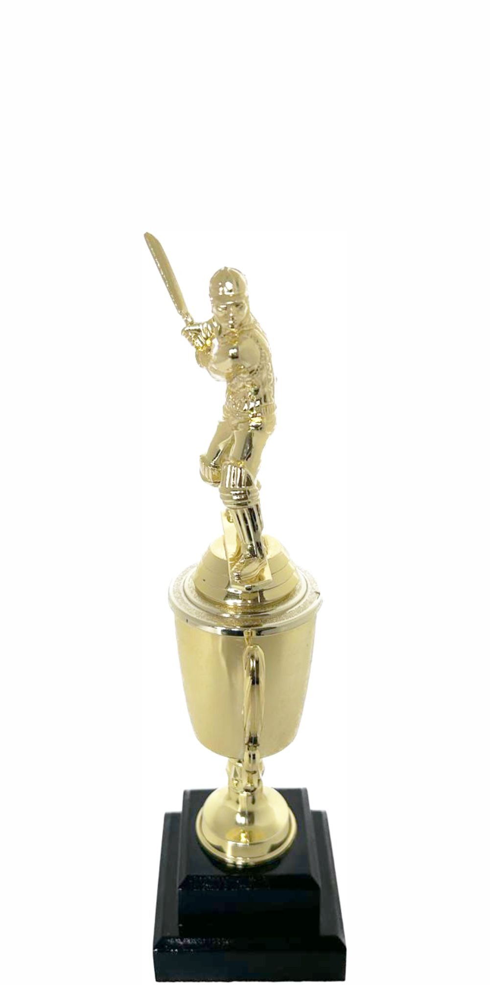 Cricket Batsman Trophy 270mm