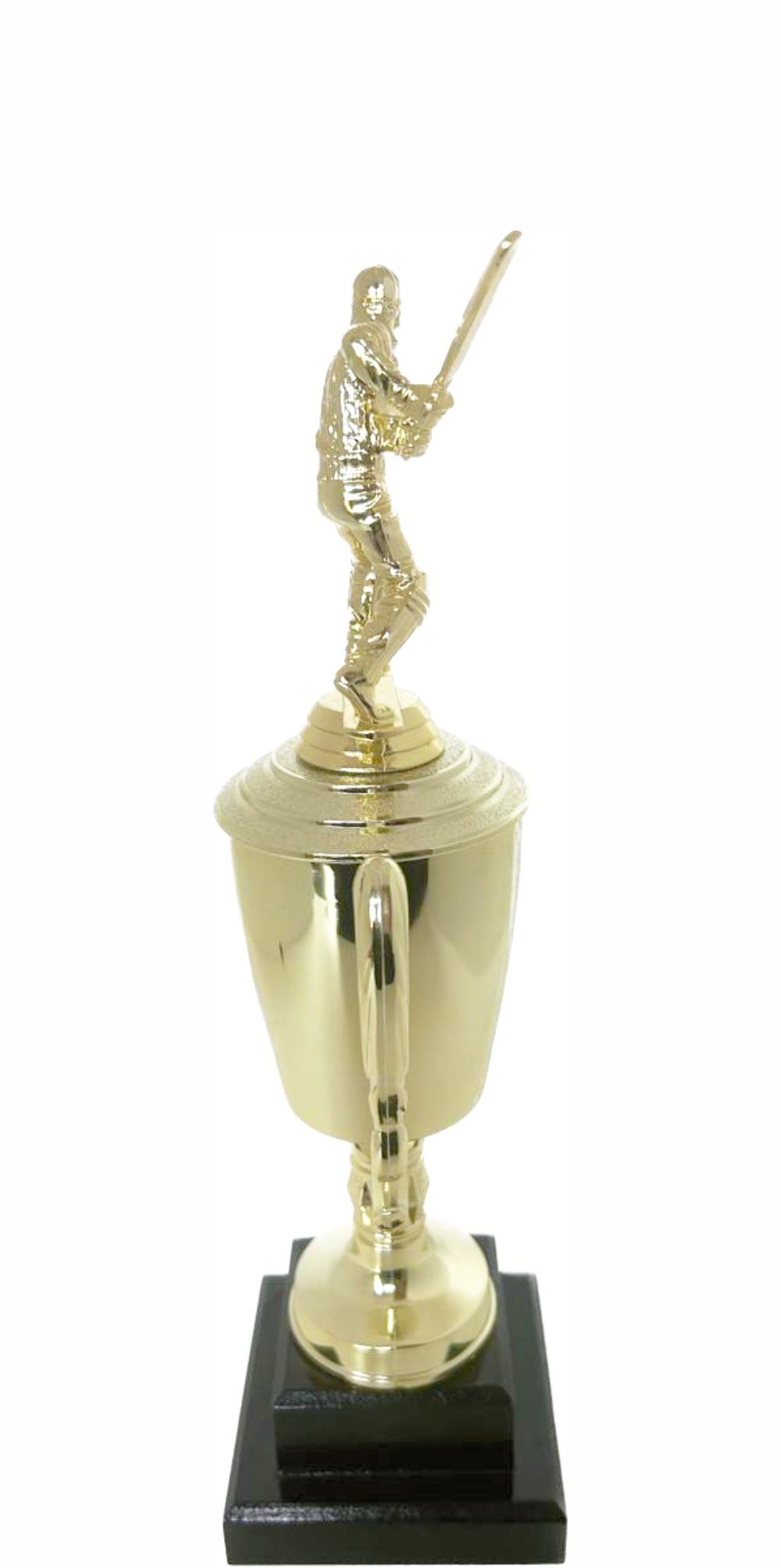 Cricket Batsman Trophy 300mm