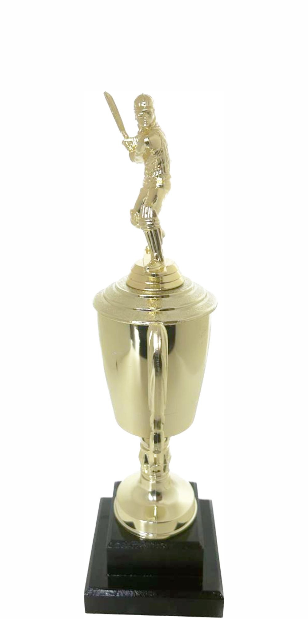 Cricket Batsman Trophy 300mm