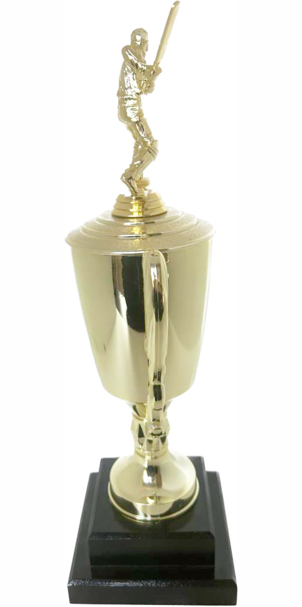 Cricket Batsman Trophy 380mm