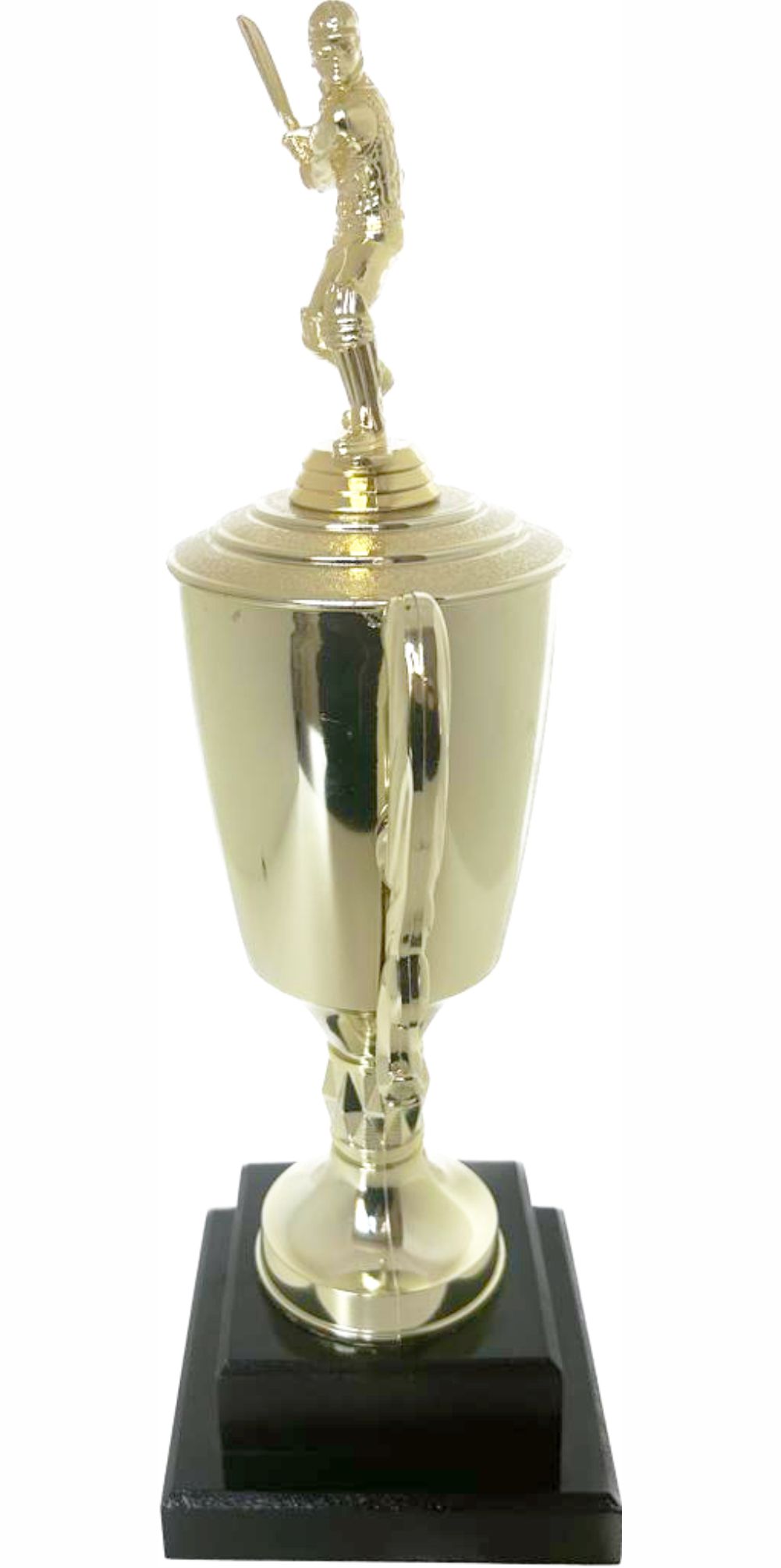 Cricket Batsman Trophy 380mm