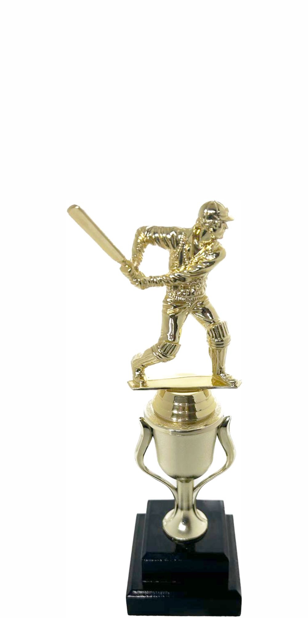 Cricket Batsman Trophy 250mm