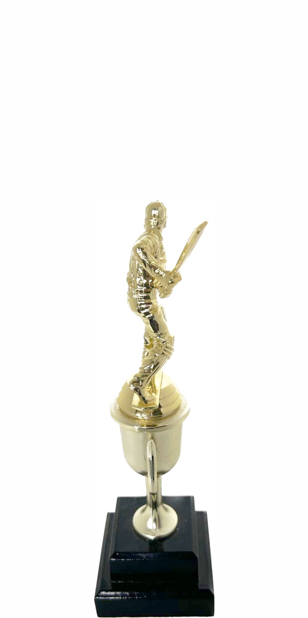 Cricket Batsman Trophy 250mm
