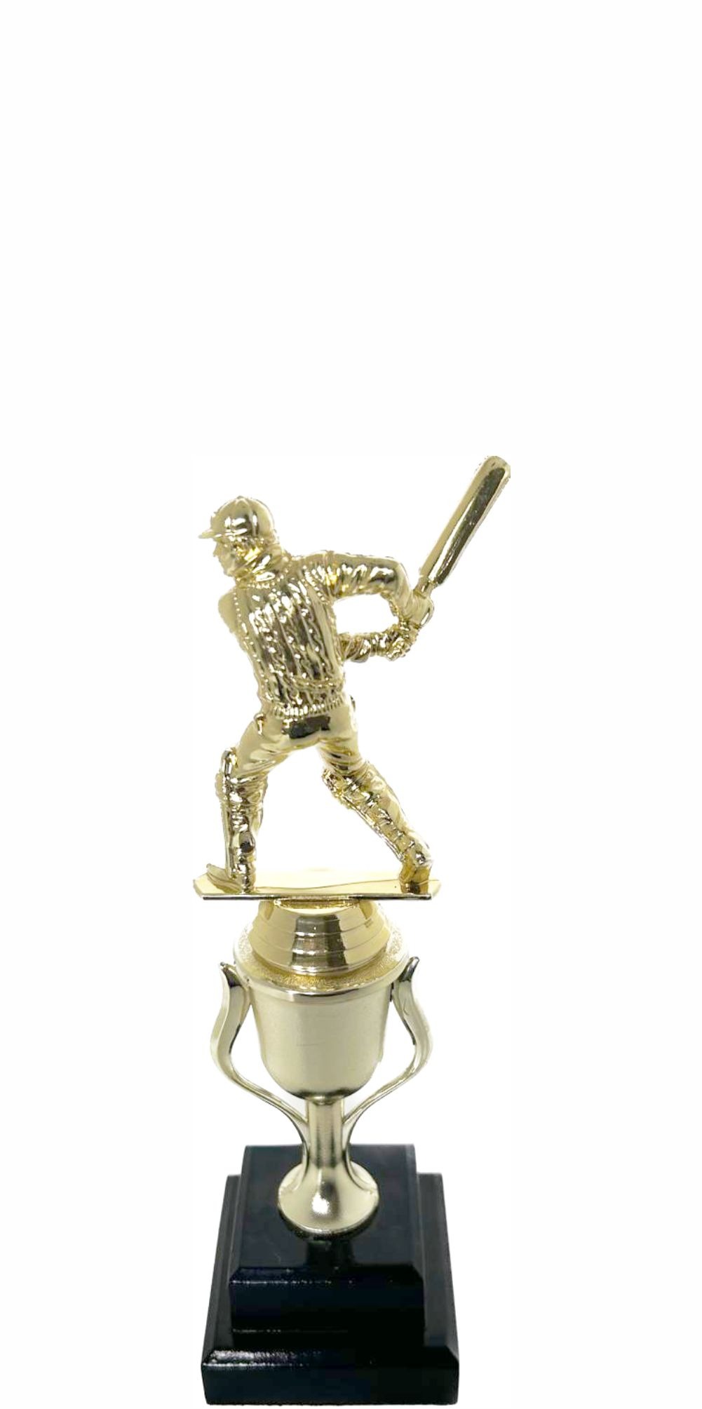 Cricket Batsman Trophy 250mm