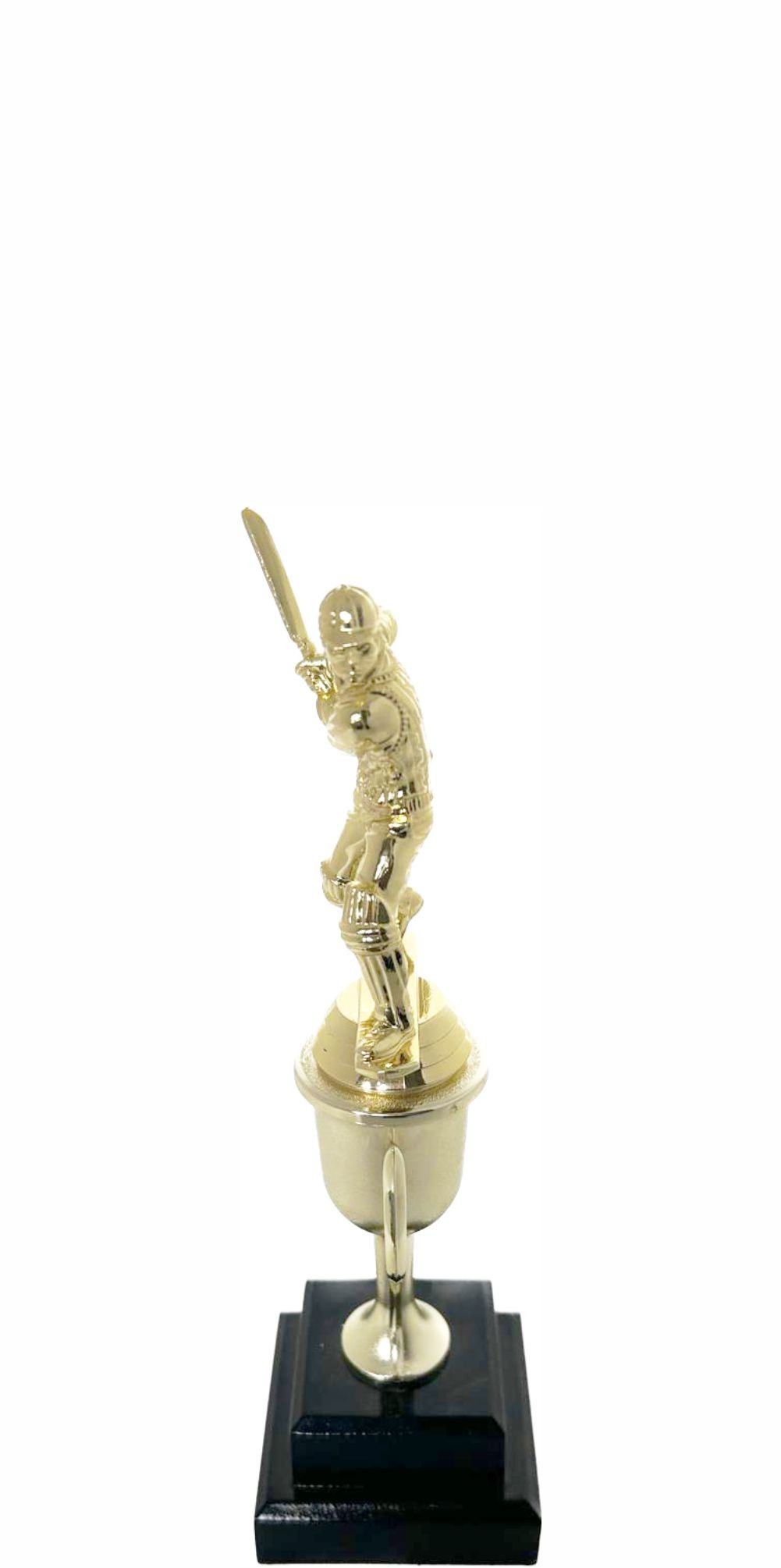 Cricket Batsman Trophy 250mm