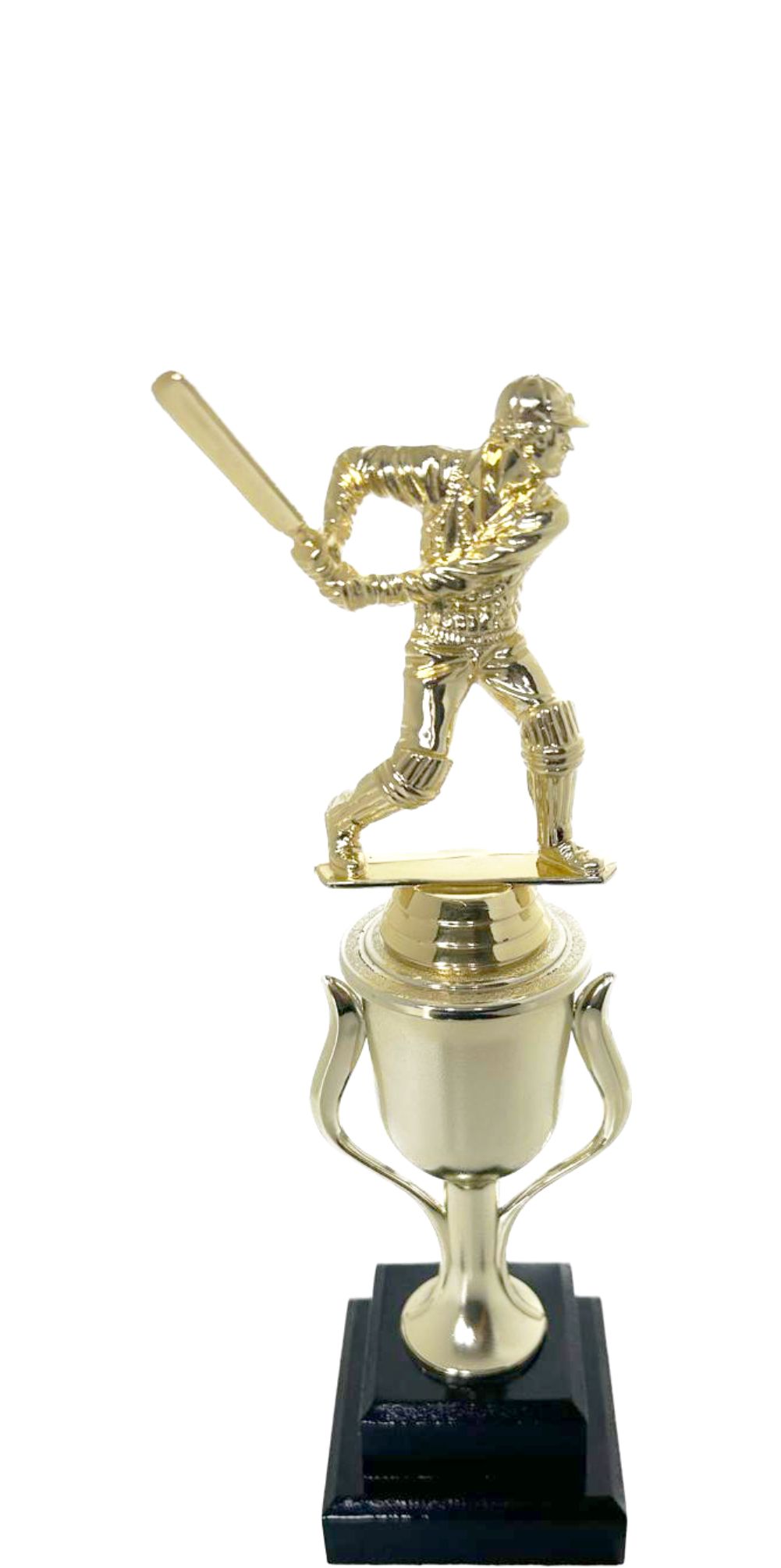 Cricket Batsman Trophy 270mm