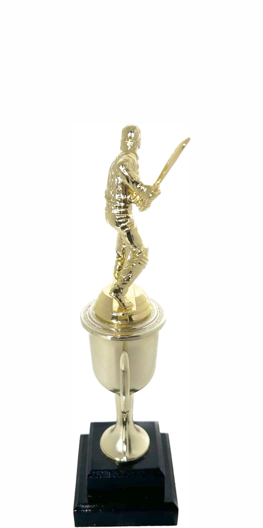 Cricket Batsman Trophy 270mm