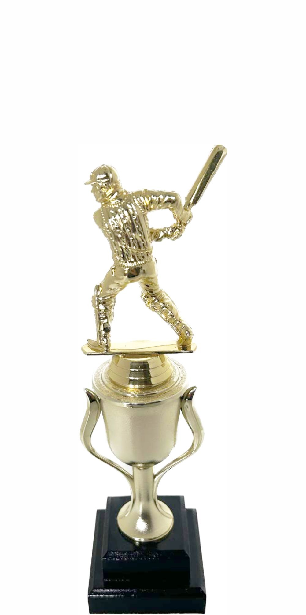 Cricket Batsman Trophy 270mm