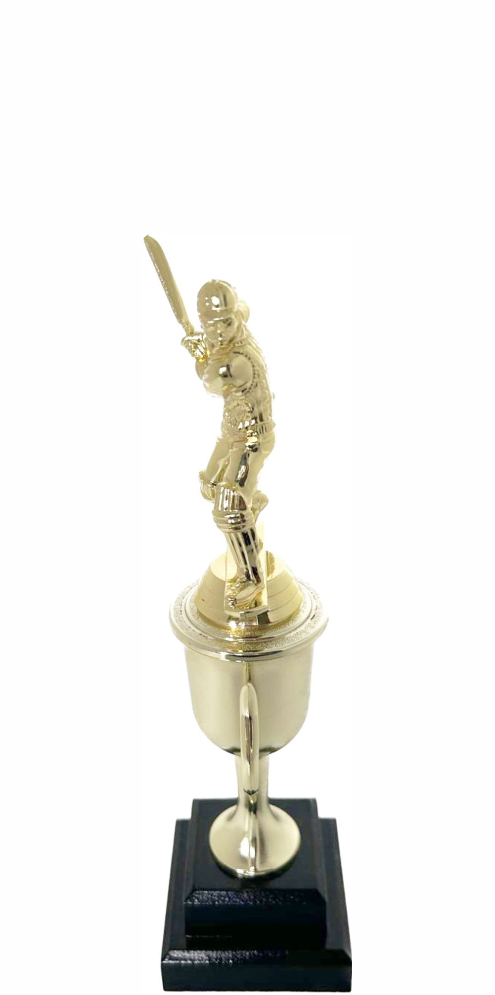 Cricket Batsman Trophy 270mm