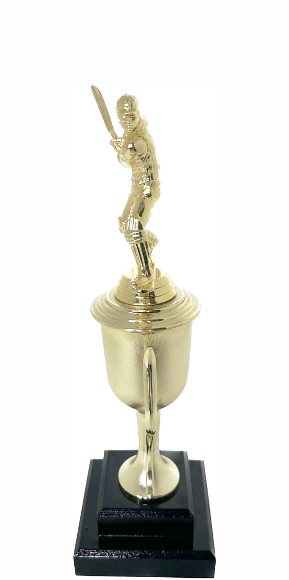 Cricket Batsman Trophy 300mm