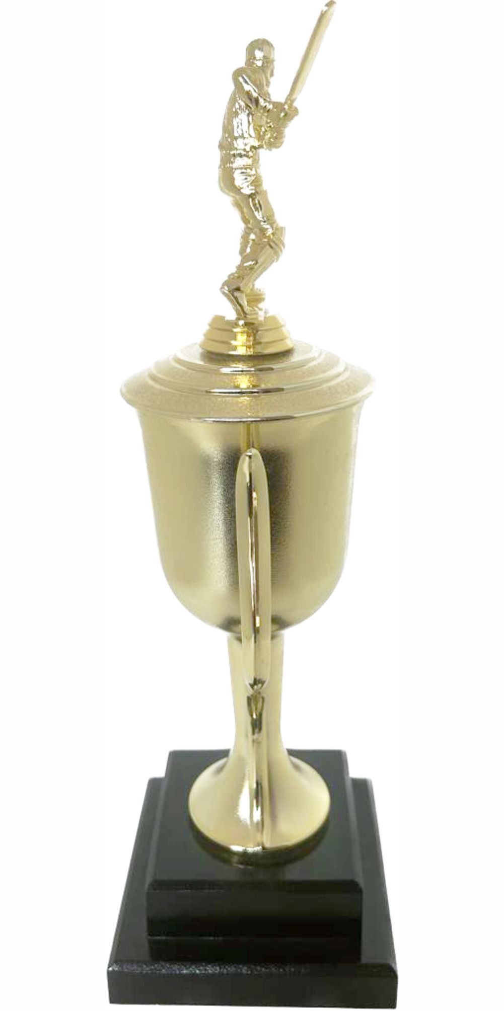 Cricket Batsman Trophy 380mm