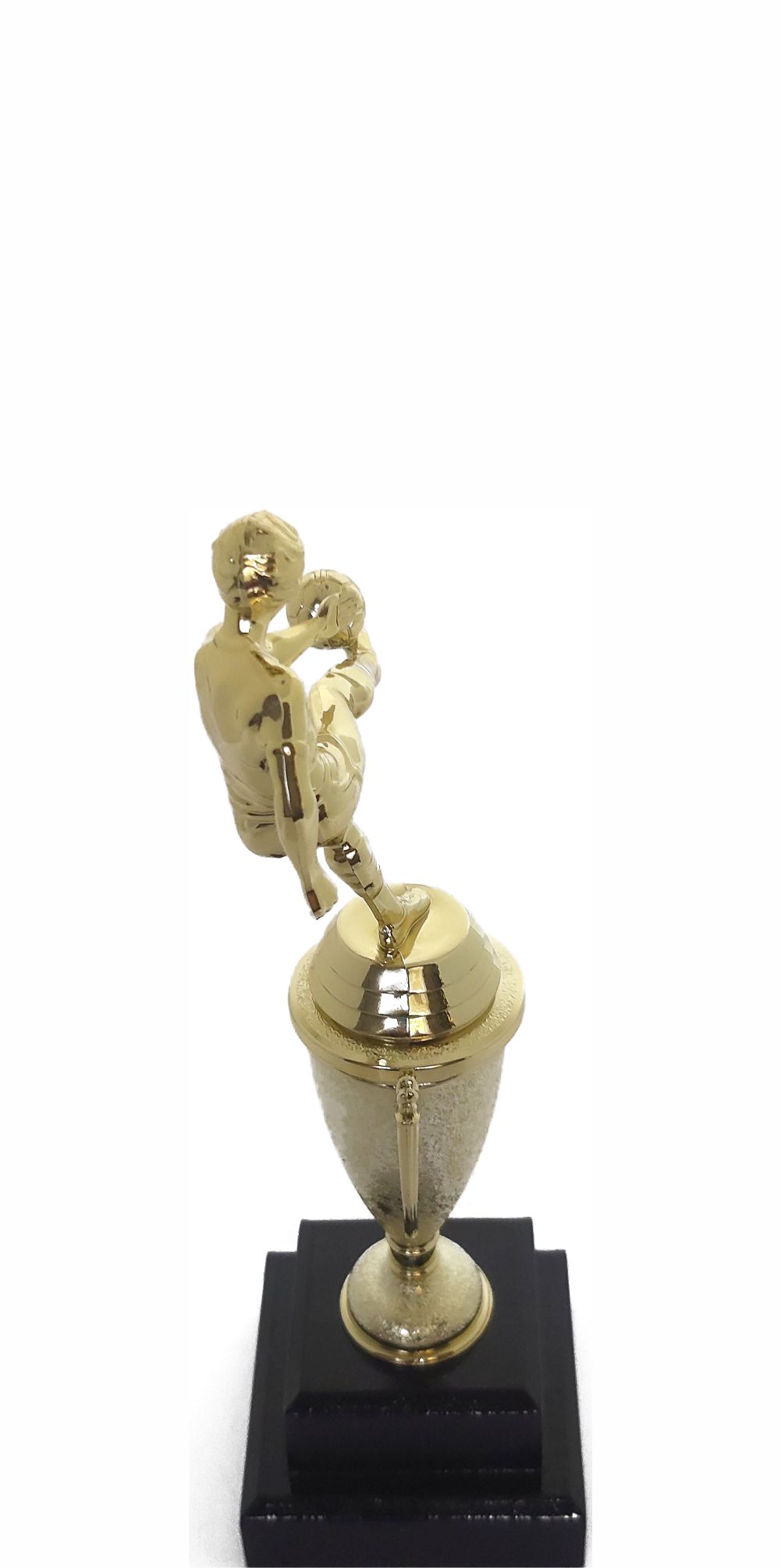 Soccer Kicker Male Trophy 255mm