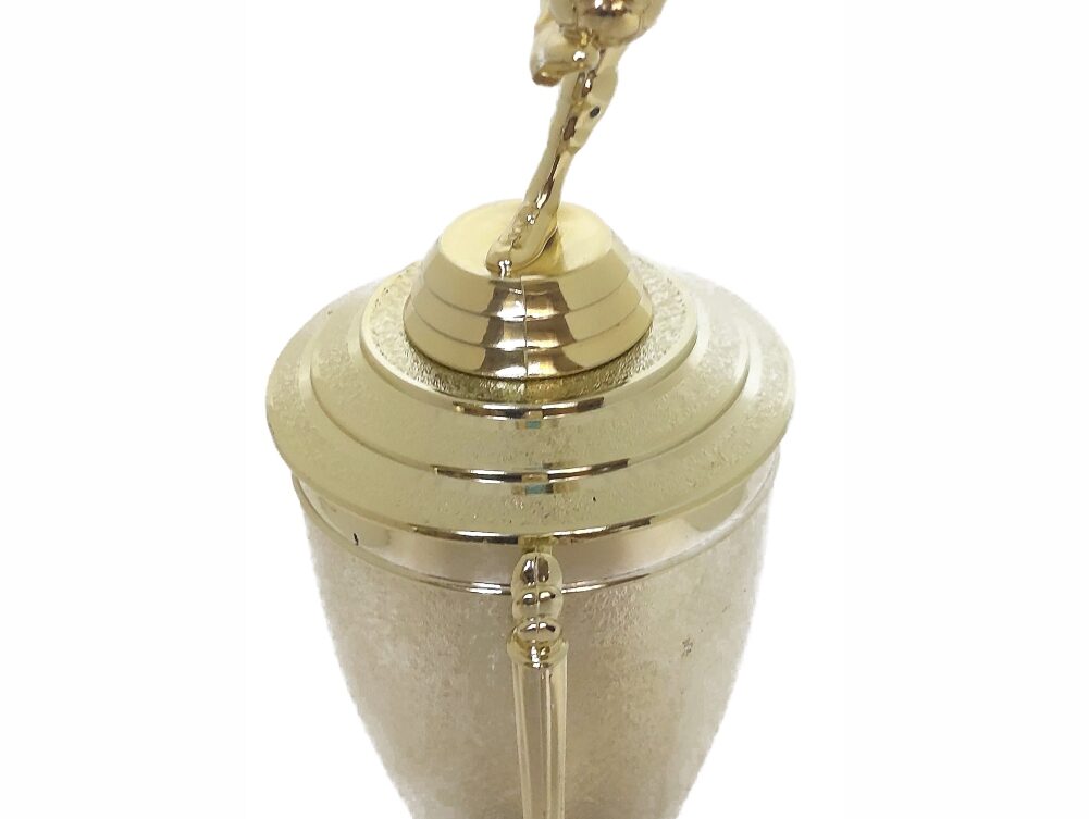 Soccer Kicker Male Trophy 355mm