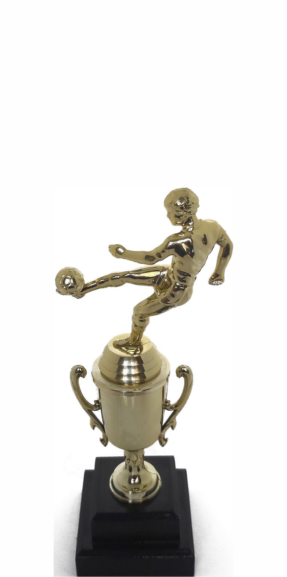 Soccer Kicker Male Trophy 255mm