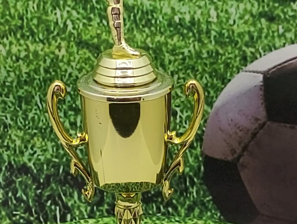 Soccer Kicker Male Trophy 280mm