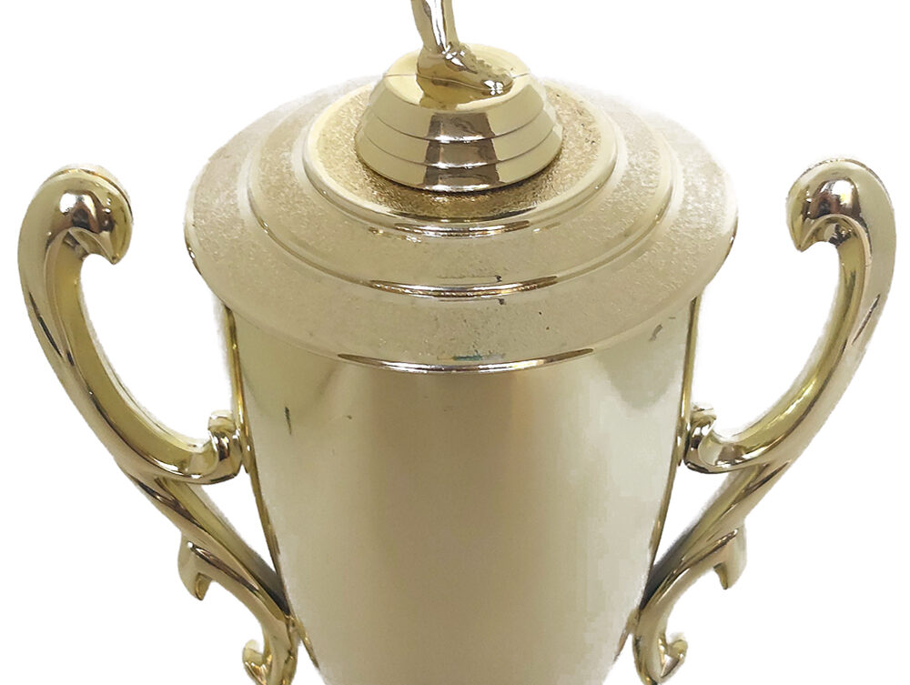 Soccer Kicker Male Trophy 395mm