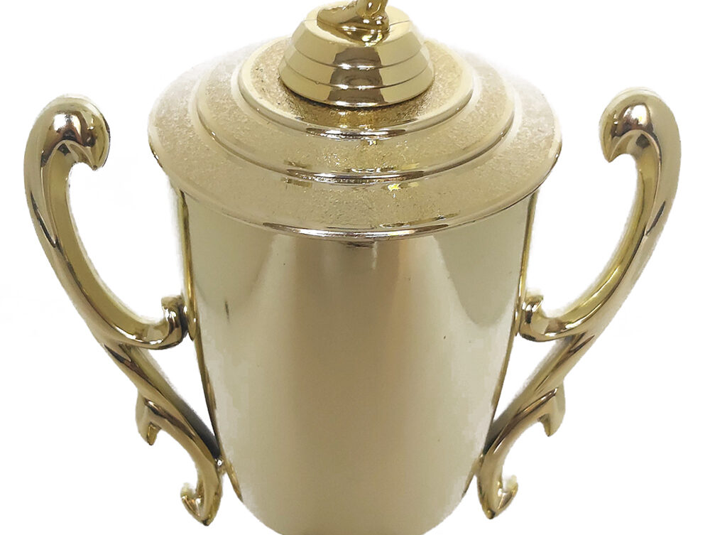 Soccer Kicker Male Trophy 395mm