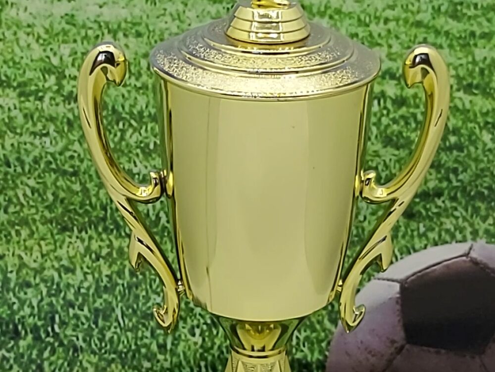 Soccer Kicker Male Trophy 395mm