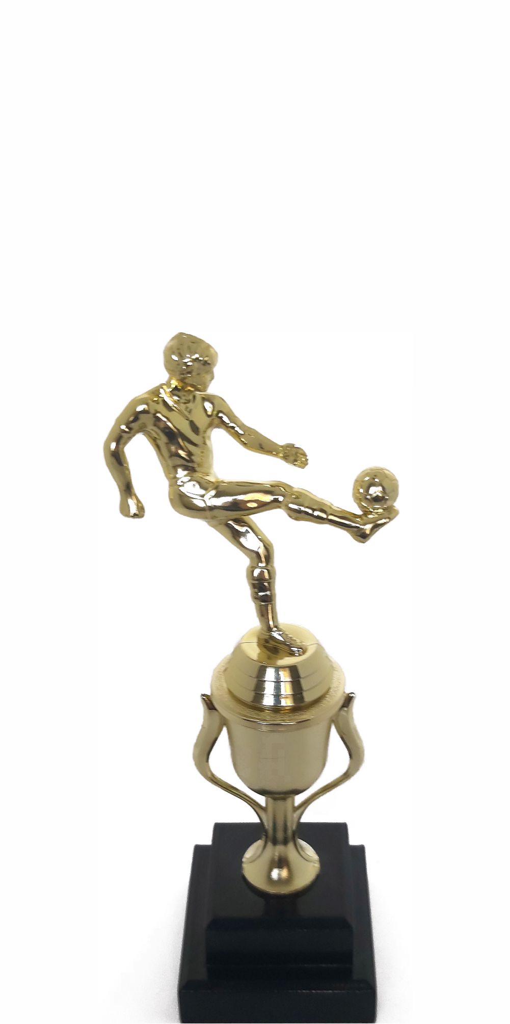 Soccer Kicker Male Trophy 255mm