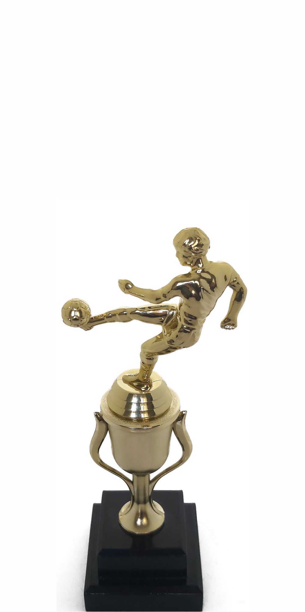 Soccer Kicker Male Trophy 255mm