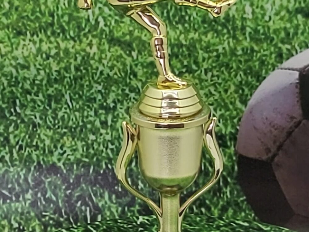 Soccer Kicker Male Trophy 255mm