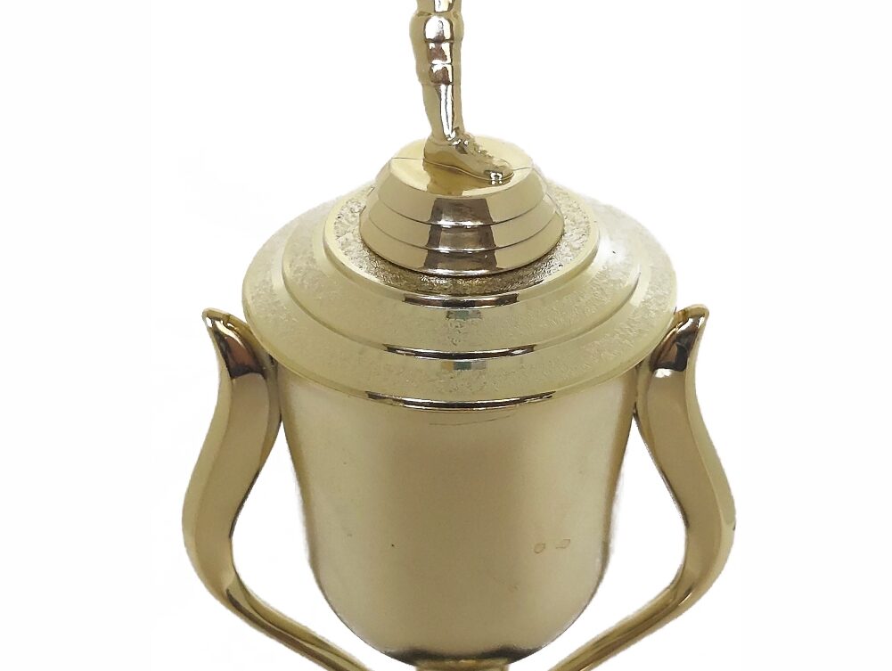 Soccer Kicker Male Trophy 355mm