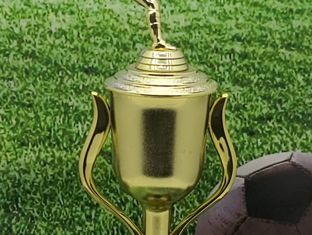 Soccer Kicker Male Trophy 355mm