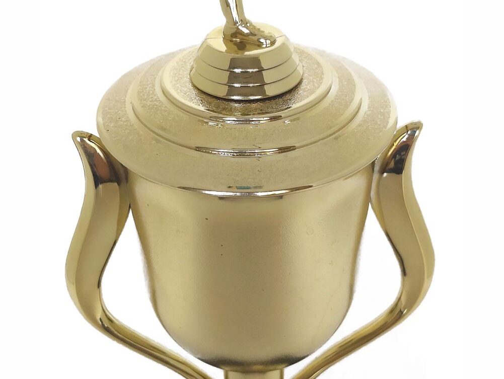 Soccer Kicker Male Trophy 395mm