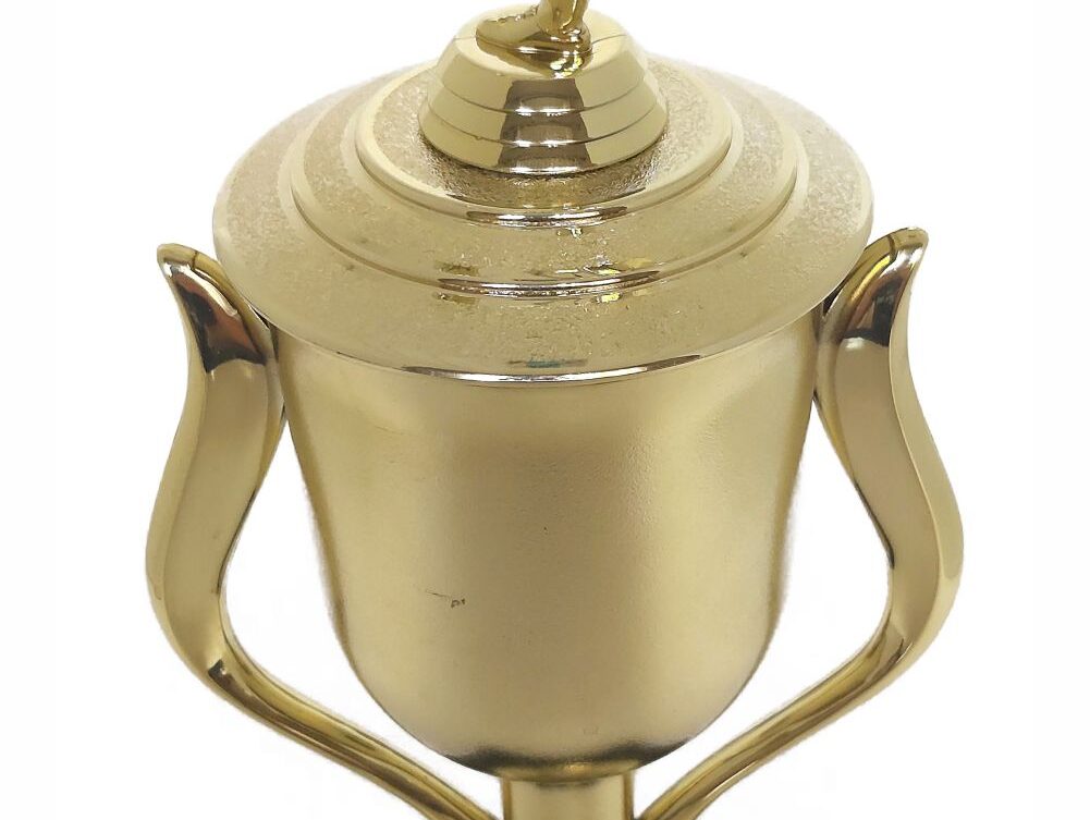 Soccer Kicker Male Trophy 395mm