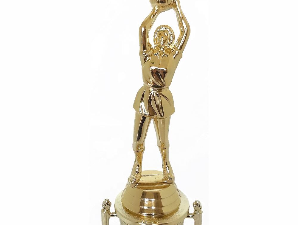 Netball Trophy 255mm